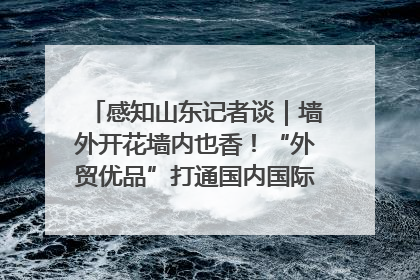 感知山东记者谈｜墙外开花墙内也香！“外贸优品”打通国内国际市场“旋转门”