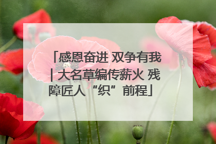 感恩奋进 双争有我｜大名草编传薪火 残障匠人“织”前程