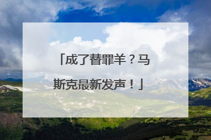 成了替罪羊？马斯克最新发声！