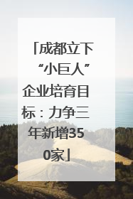 成都立下“小巨人”企业培育目标：力争三年新增350家