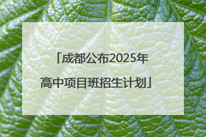 成都公布2025年高中项目班招生计划