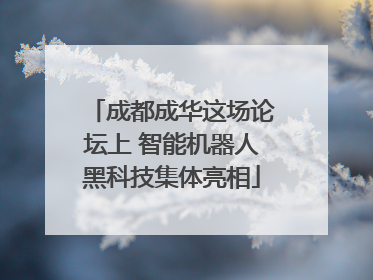 成都成华这场论坛上 智能机器人黑科技集体亮相