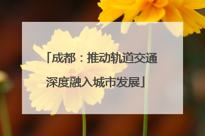 成都：推动轨道交通深度融入城市发展