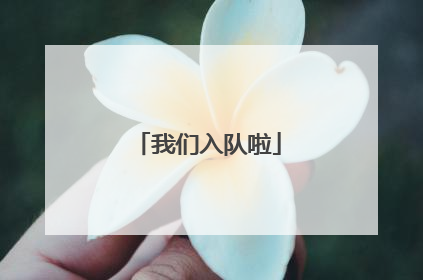 我们入队啦