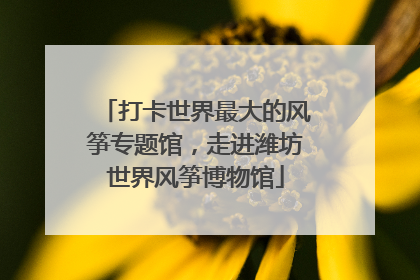 打卡世界最大的风筝专题馆，走进潍坊世界风筝博物馆