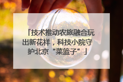 技术推动农旅融合玩出新花样，科技小院守护北京“菜篮子”