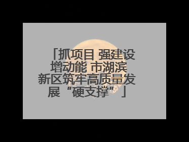 抓项目 强建设 增动能 市湖滨新区筑牢高质量发展“硬支撑”