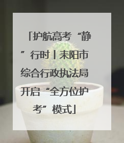 护航高考“静”行时丨耒阳市综合行政执法局开启“全方位护考”模式
