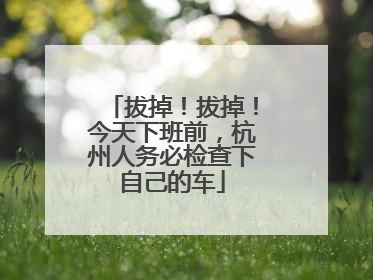 拔掉！拔掉！今天下班前，杭州人务必检查下自己的车