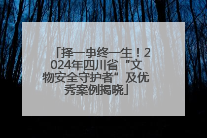 择一事终一生！2024年四川省“文物安全守护者”及优秀案例揭晓