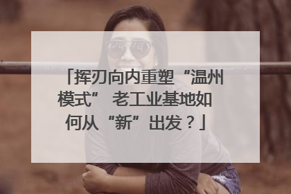 挥刃向内重塑“温州模式” 老工业基地如何从“新”出发？