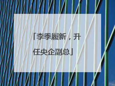 李季履新，升任央企副总