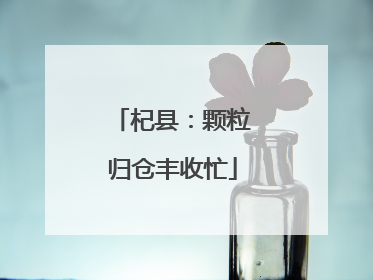 杞县：颗粒归仓丰收忙