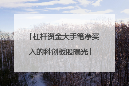 杠杆资金大手笔净买入的科创板股曝光
