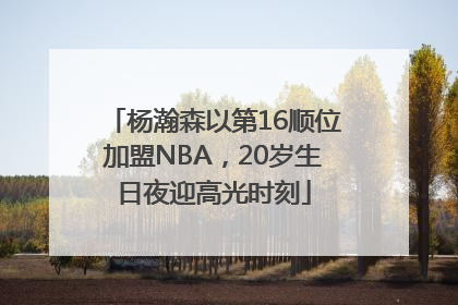 杨瀚森以第16顺位加盟NBA，20岁生日夜迎高光时刻