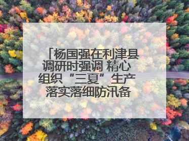 杨国强在利津县调研时强调 精心组织“三夏”生产 落实落细防汛备汛工作