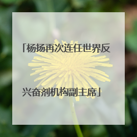 杨扬再次连任世界反兴奋剂机构副主席