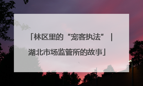 林区里的“宠客执法”｜湖北市场监管所的故事