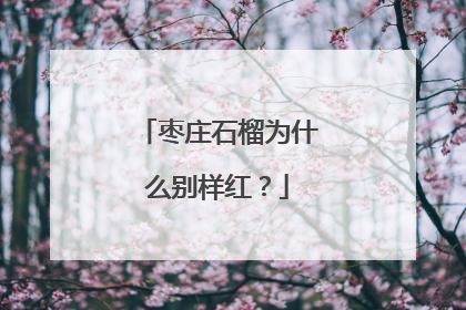 枣庄石榴为什么别样红？