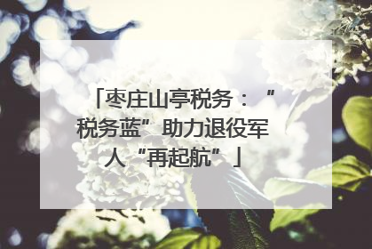 枣庄山亭税务：“税务蓝”助力退役军人“再起航”