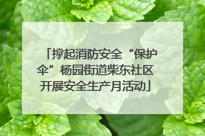 撑起消防安全“保护伞”杨园街道柴东社区开展安全生产月活动