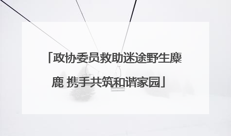 政协委员救助迷途野生麋鹿 携手共筑和谐家园