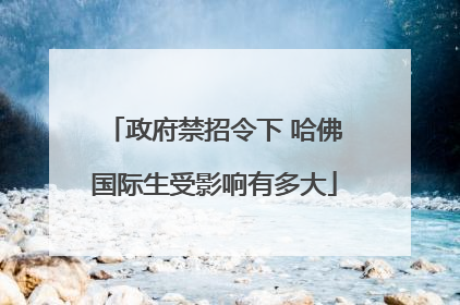 政府禁招令下 哈佛国际生受影响有多大