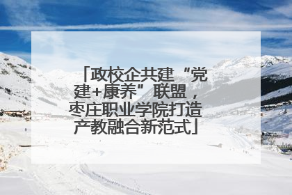 政校企共建“党建+康养”联盟，枣庄职业学院打造产教融合新范式