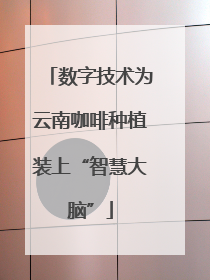 数字技术为云南咖啡种植装上“智慧大脑”