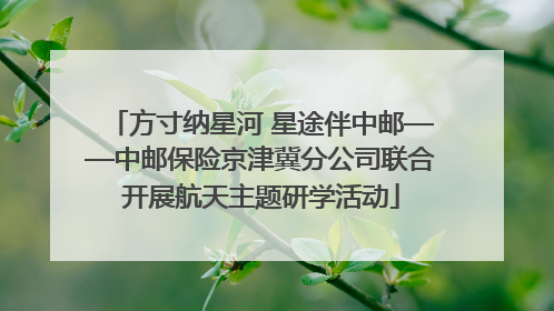 方寸纳星河 星途伴中邮——中邮保险京津冀分公司联合开展航天主题研学活动