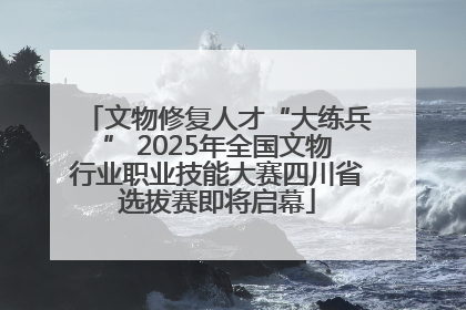 文物修复人才“大练兵” 2025年全国文物行业职业技能大赛四川省选拔赛即将启幕
