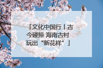 文化中国行丨古今碰撞 海南古村玩出“新花样”