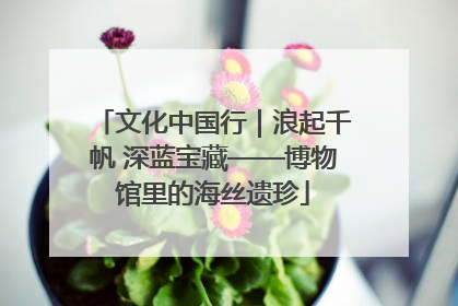文化中国行｜浪起千帆 深蓝宝藏——博物馆里的海丝遗珍