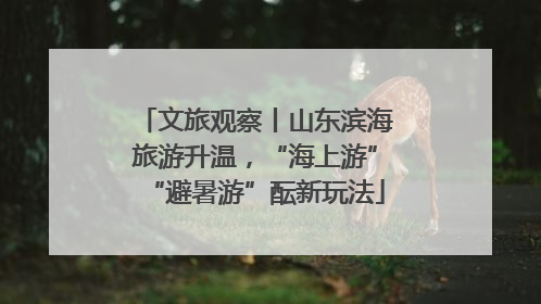 文旅观察丨山东滨海旅游升温，“海上游”“避暑游”酝新玩法