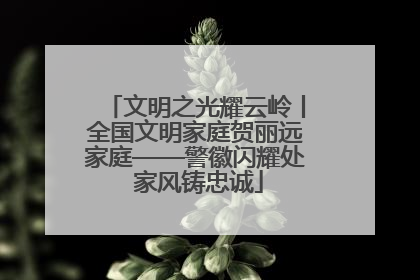 文明之光耀云岭丨全国文明家庭贺丽远家庭——警徽闪耀处 家风铸忠诚