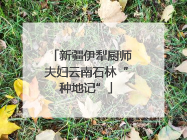 新疆伊犁厨师夫妇云南石林“种地记”