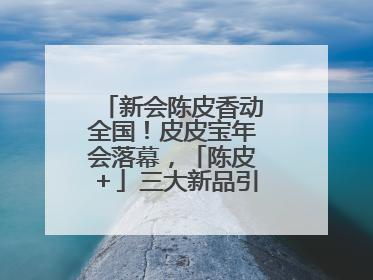 新会陈皮香动全国！皮皮宝年会落幕，「陈皮＋」三大新品引领产业升级