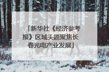 新华社《经济参考报》区域头题聚焦长春光电产业发展