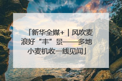 新华全媒+｜风吹麦浪好“丰”景——多地小麦机收一线见闻