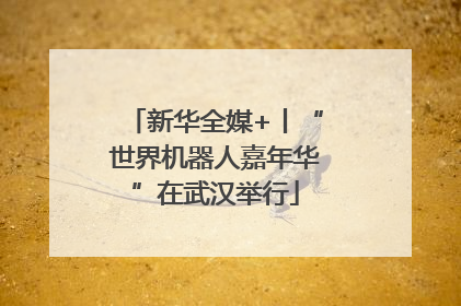 新华全媒+丨“世界机器人嘉年华”在武汉举行