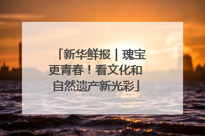 新华鲜报｜瑰宝更青春！看文化和自然遗产新光彩