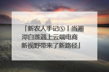 新农人手记⑤丨当湘潭白莲遇上云端电商 新视野带来了新路径