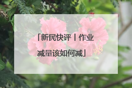 新民快评丨作业减量该如何减