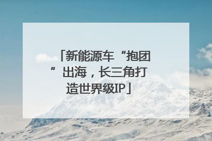 新能源车“抱团”出海，长三角打造世界级IP