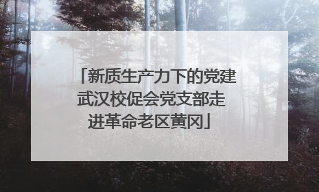 新质生产力下的党建 武汉校促会党支部走进革命老区黄冈