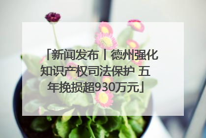 新闻发布丨德州强化知识产权司法保护 五年挽损超930万元