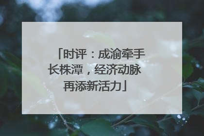 时评：成渝牵手长株潭，经济动脉再添新活力