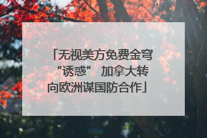 无视美方免费金穹“诱惑” 加拿大转向欧洲谋国防合作
