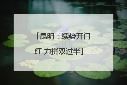 昆明：续势开门红 力拼双过半