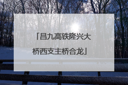 昌九高铁隆兴大桥西支主桥合龙